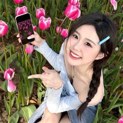 小狗丹的物语