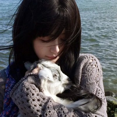 芭比之蝴蝶仙子和精灵公主